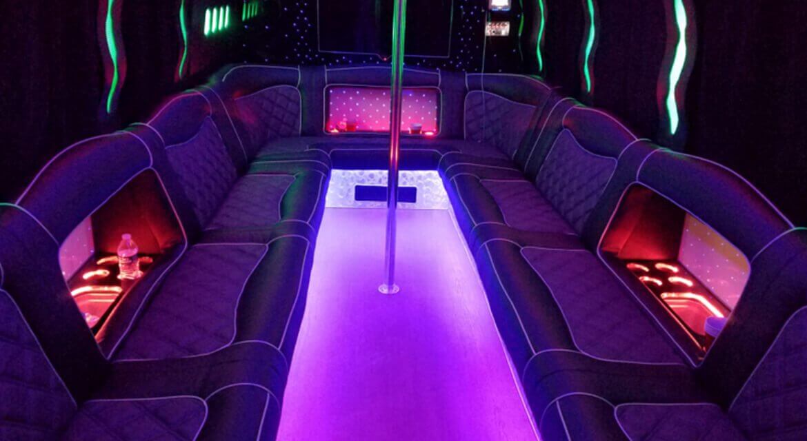 Leading Reasons to Check Out Party Bus Rentals Clover Aardklop
