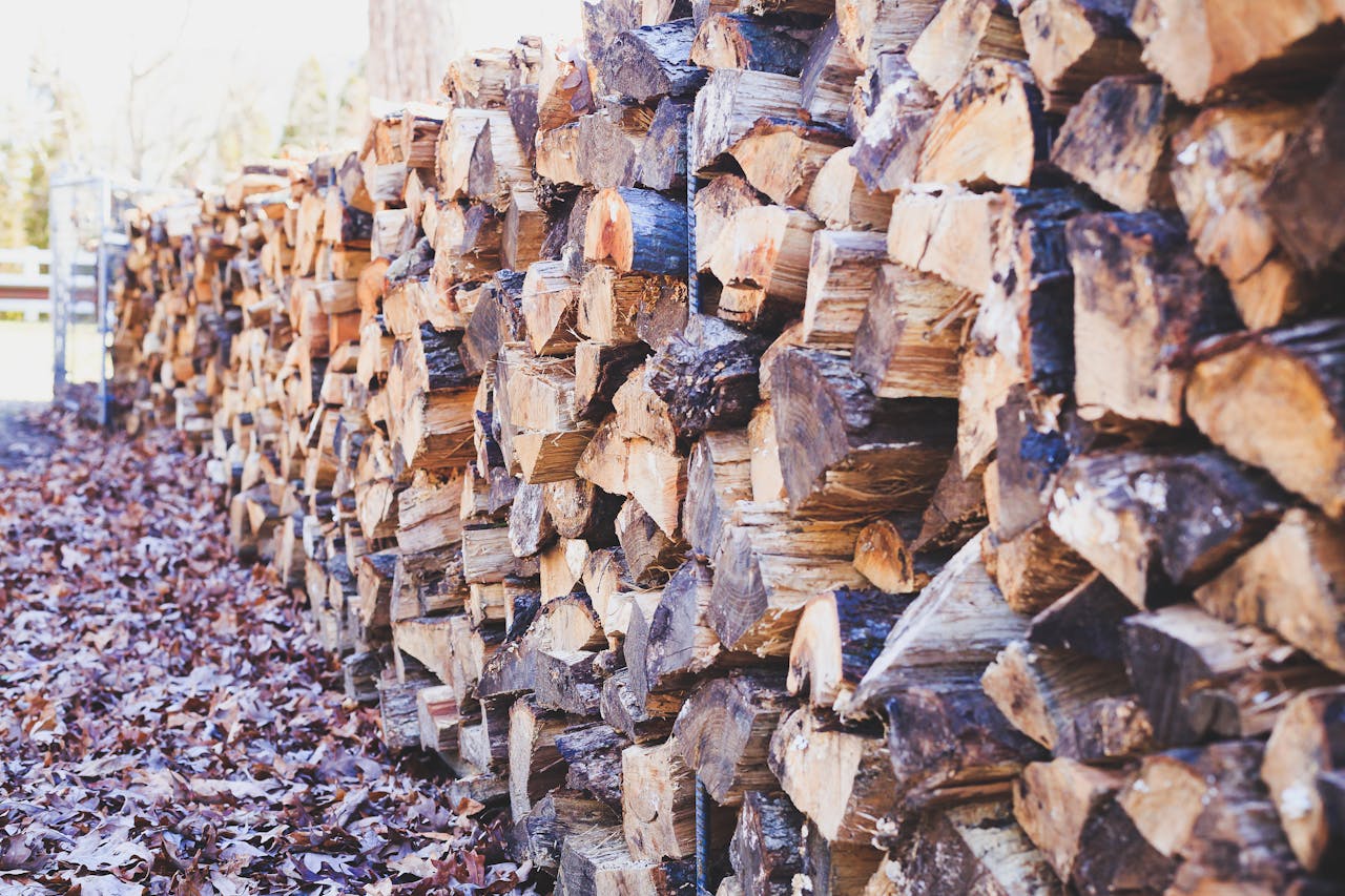 selection of firewood types stacked for burning in Cape Town